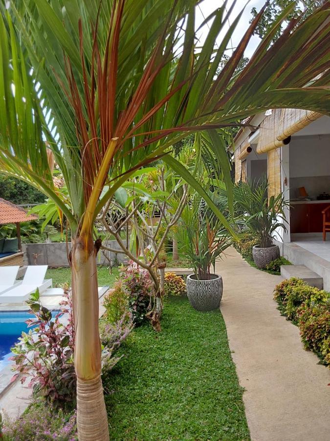 Okaoki Homestay Amed Exteriör bild